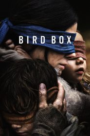 Nonton Film Bird Box 2018 Subtitle Indonesia