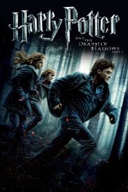 Harry Potter and the Deathly Hallows: Part 1 2010
