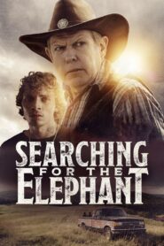 Searching for the Elephant 2024